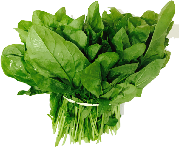 Spinach All Green Vegetable Seeds