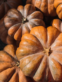 Musquee de Provence Heirloom Pumpkin Seeds