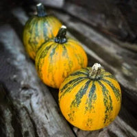 Kakai – Organic Pumpkin Seed