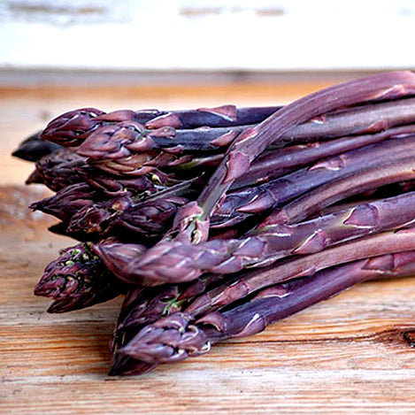 Purple Passion – Asparagus Seed
