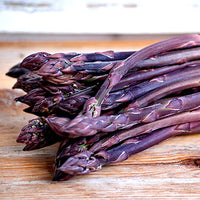 Purple Passion – Asparagus Seed