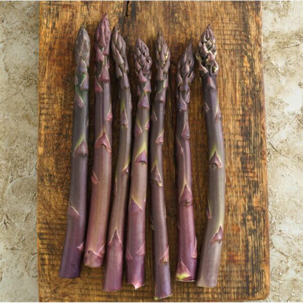 Purple Passion – Asparagus Seed