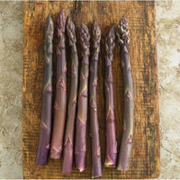 Purple Passion – Asparagus Seed