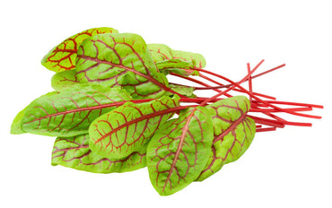 Sorrel- Red Veined