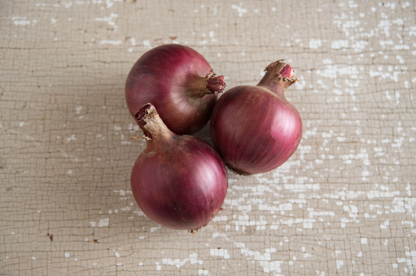 Red Hawk – Onion Seed