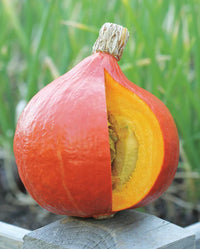 Pumpkin- Red Kuri 100g