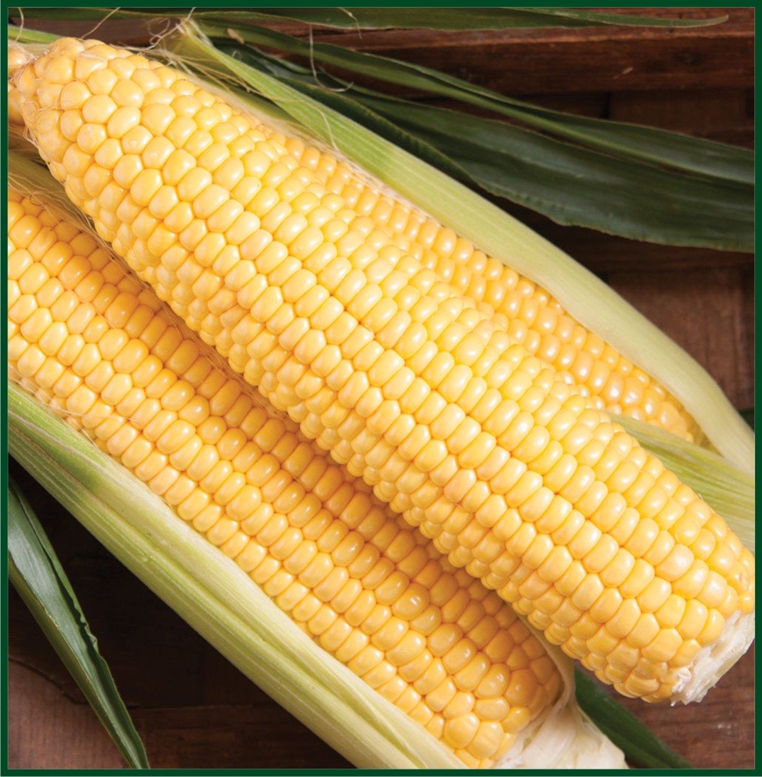 SS3778R – Corn Seed
