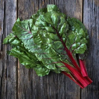 Chard, Ruby Red – Microgreen Seed