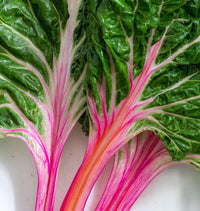 Magenta Sunset – Swiss Chard Seed