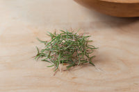 Saltwort – Microgreen Seed