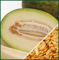 Sapomiel – Melon Seed