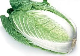Spring Green Cabbage Seeds Vegetable Seeds