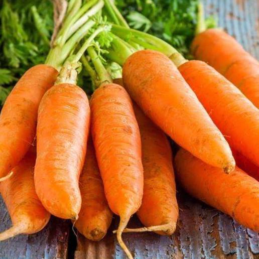 Spring and Autumn heyday Carrot seeds organic vegetable seeds