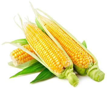 Super – Sweet Fruit Corn Seeds Cultivation Sweet Waxy High