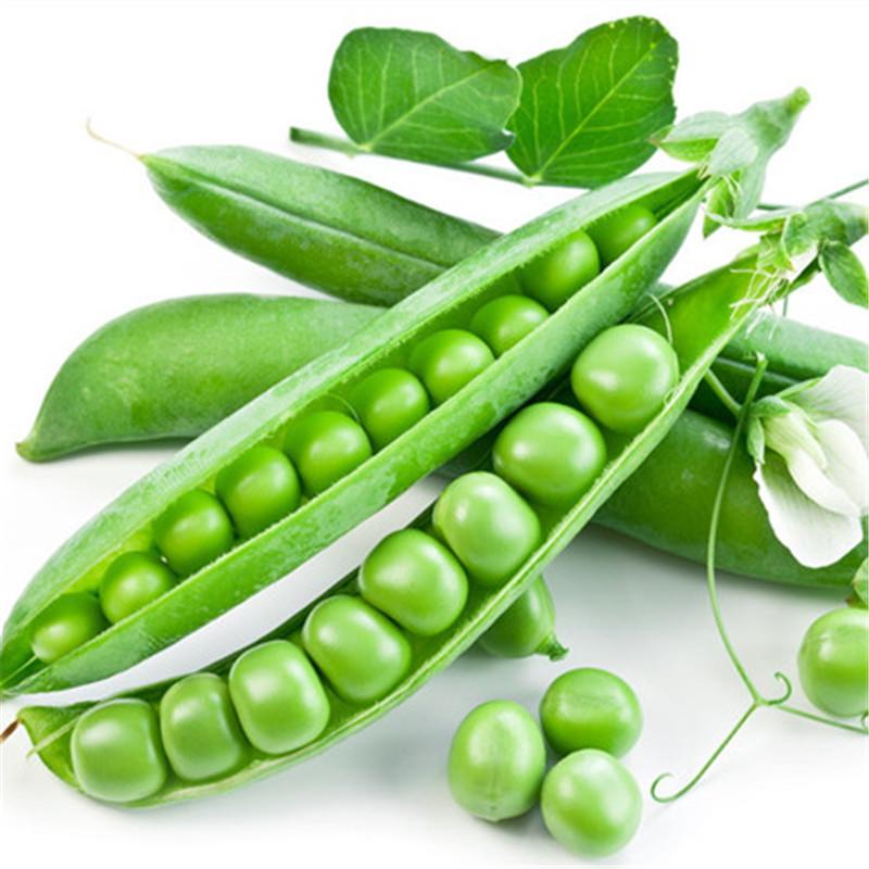 Sweet Pea Seeds,Garden Pea Seeds,Vegetable Seeds