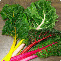 Bright Lights Swiss Chard Seed