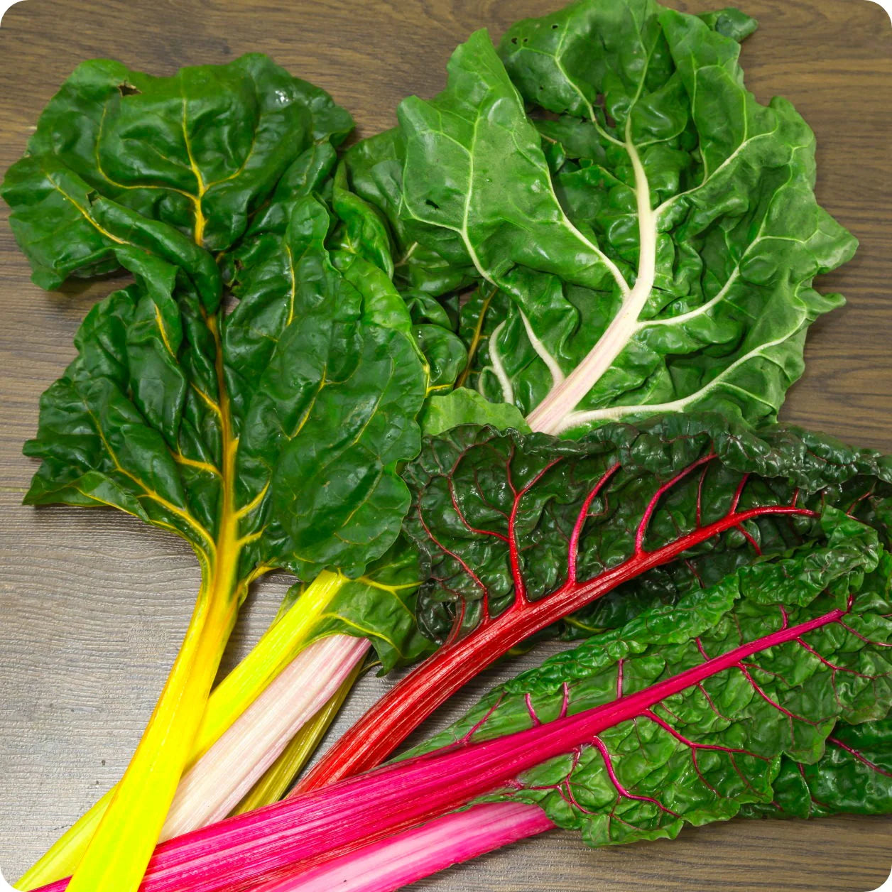 Swiss Chard Bright Yellow Imported Vegetable Seeds
