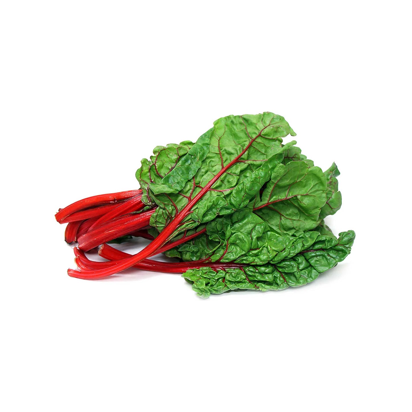 Chard, Ruby Red – Organic Microgreen Seed