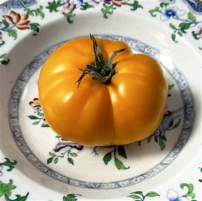 Big Orange Tomato Seeds for Planting - Heirloom and Non-GMO Seeds