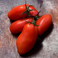Santorange – Tomato Seed