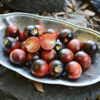 Indigo Cherry Drops – Organic Tomato Seed