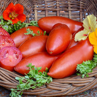 Pozzano – Organic Tomato Seed