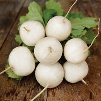 Hakurei – Turnip Seed