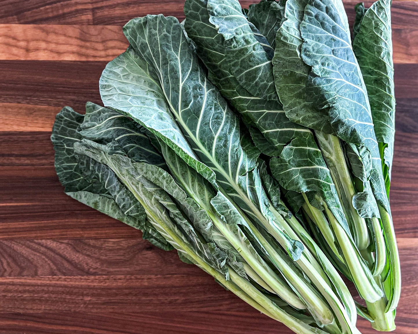 Cash Crop – Georgia Collard Seeds