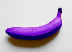 Purple banana Musa hybrid seeds for exotic urban orchard