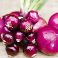 Purplette – Onion Seed