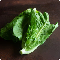 Little Gem – Organic Lettuce Seed