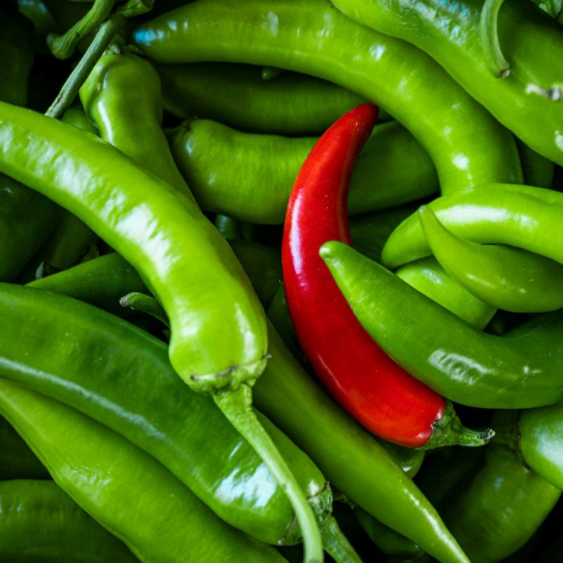 Santo Domingo – Serrano Pepper Seed