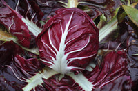 Chicory Rossa Di Verona Vegetable Seeds