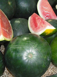 Watermelon- Warpaint