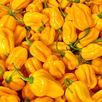 Chilli- Habanero Orange
