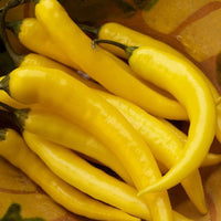 Yellow hot pepper Seeds line of organic vegetable Seeds