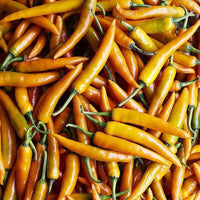 Yellow hot pepper Seeds line of organic vegetable Seeds