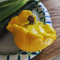 Summer Squash- Gelber Englischer 25g