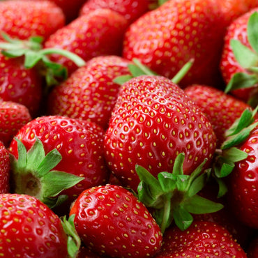 Strawberry- Adina (Runner x5)