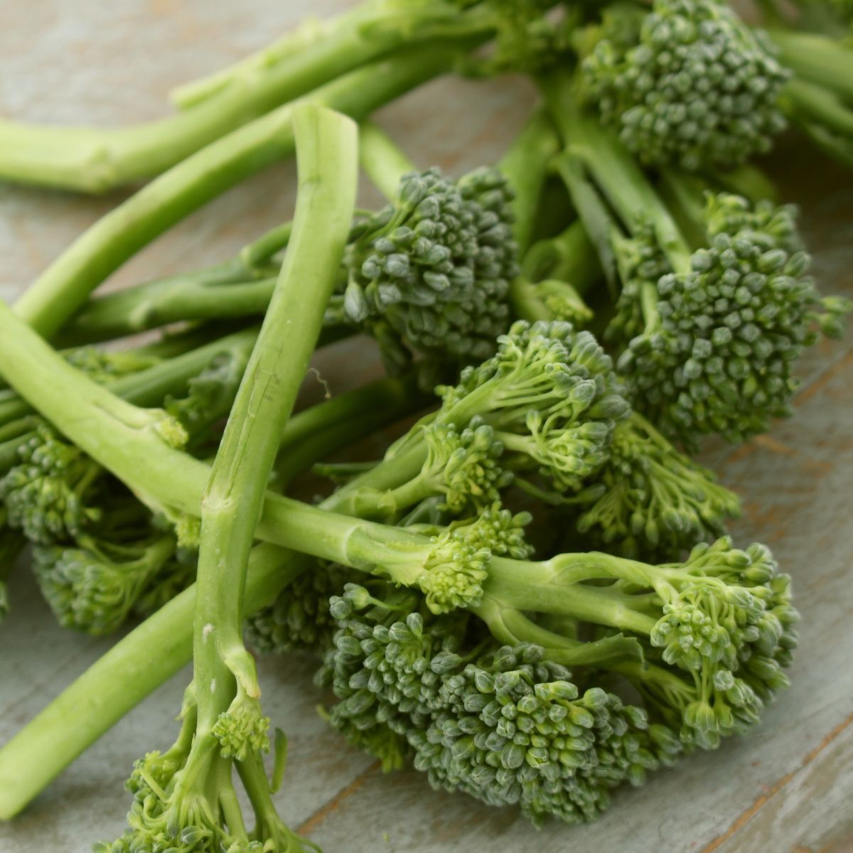Broccoli- Green Sprouting Calabrese 25g