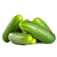 Jackson Supreme – Cucumber Seed