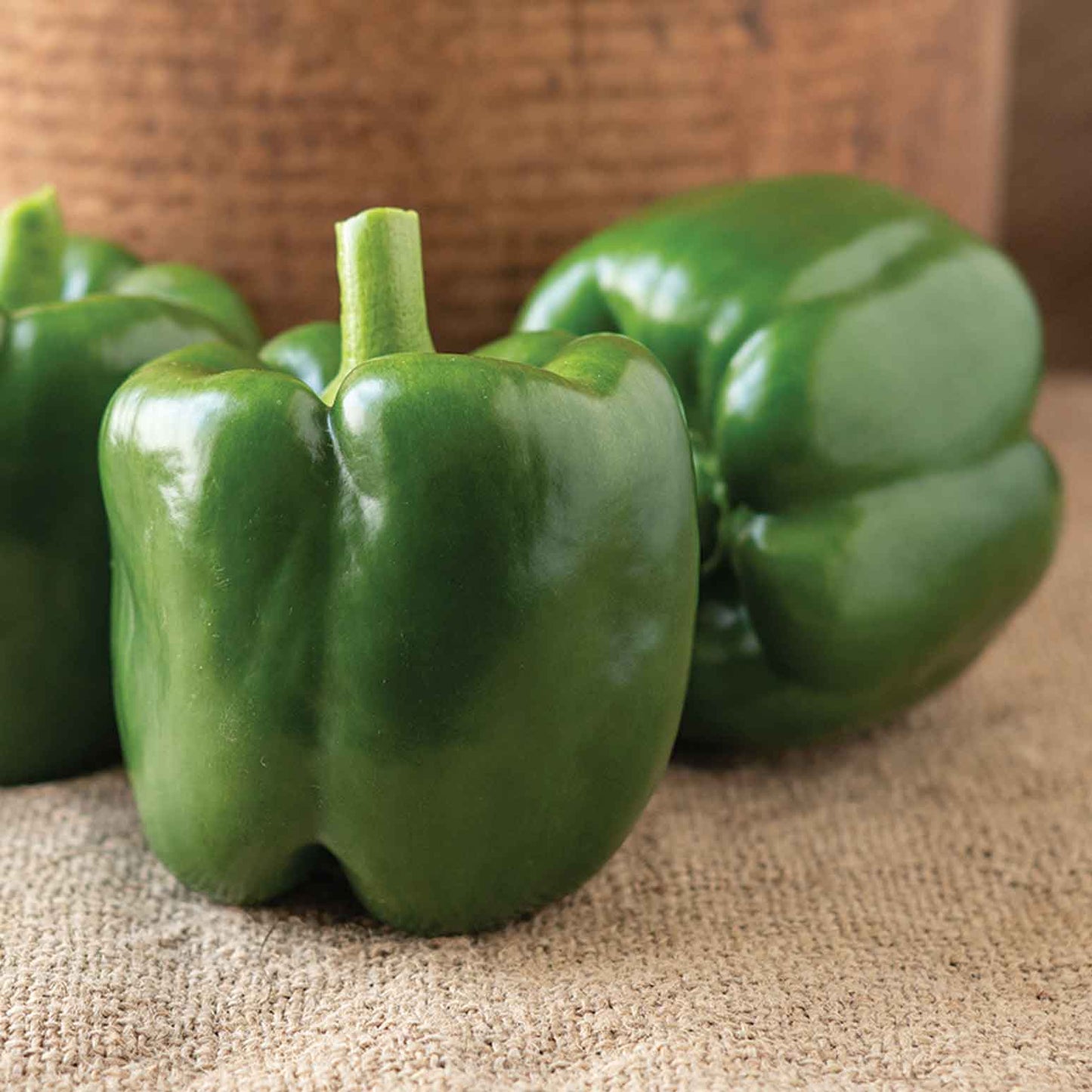 PS11435807 – Jalapeño Pepper Seed