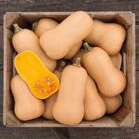 Squash Organic Seeds