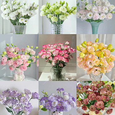 Mixed-Color Eustoma Thornless Rose Lisianthus Seeds