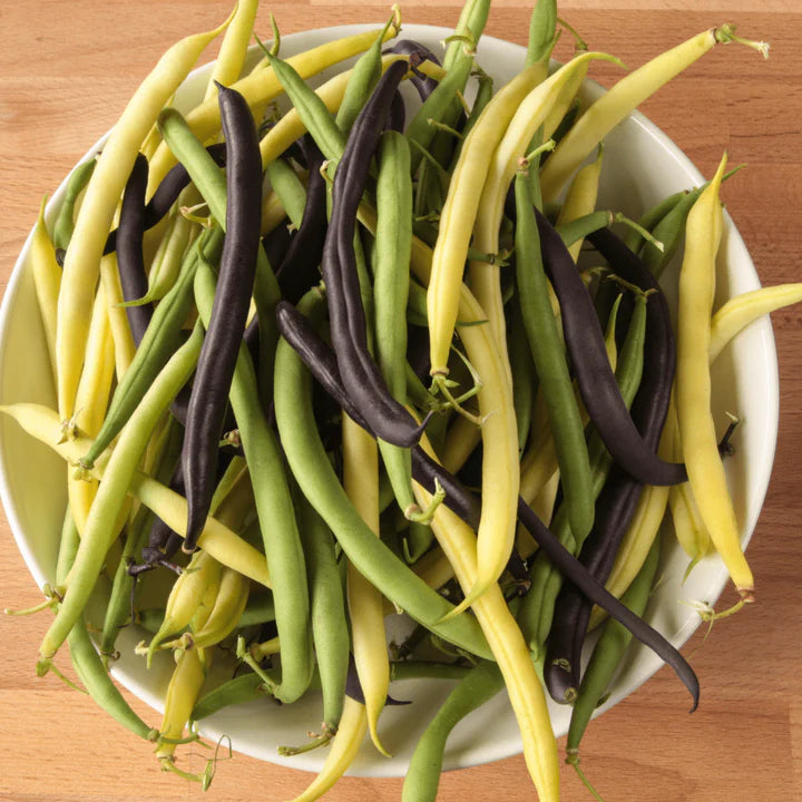 Trilogy – Organic Bean Seed