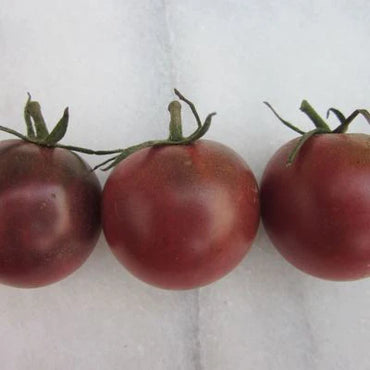 Kakao – Tomato Seed