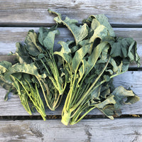 Spigariello Liscia – Broccoli Seed