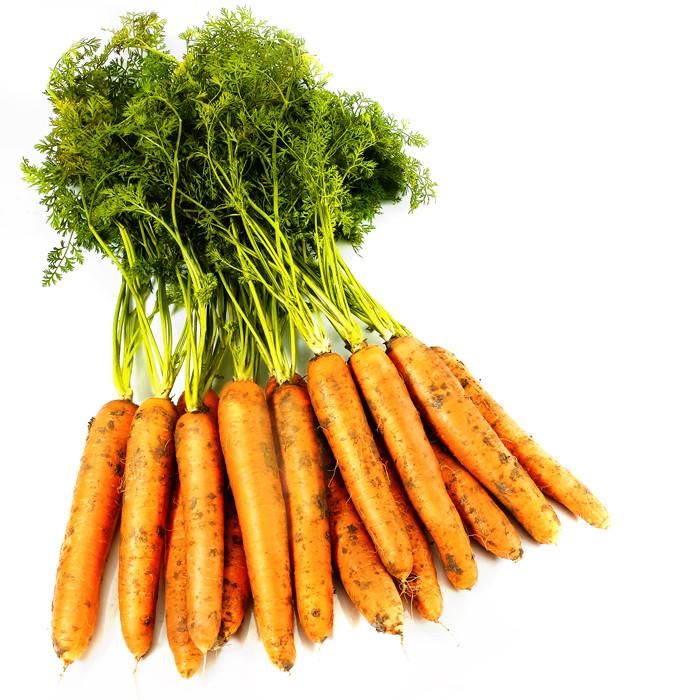 Negovia – Organic Carrot Seed