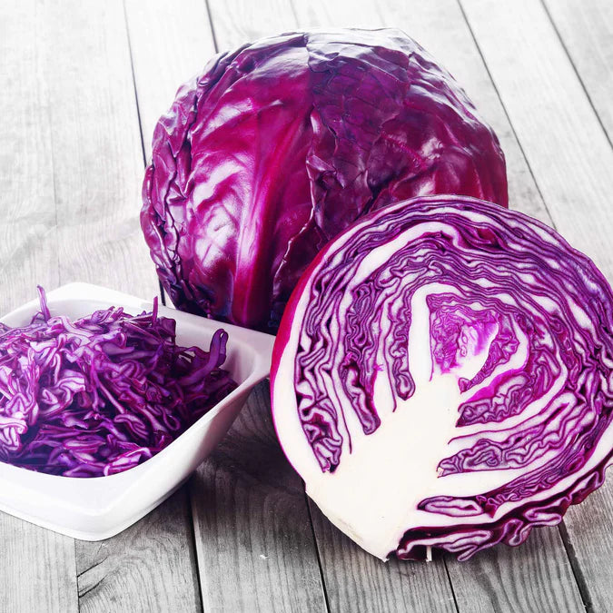 Buscaro – Organic Cabbage Seed