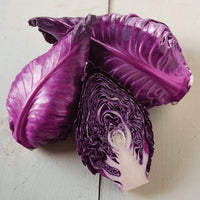 Integro – Organic Cabbage Seed